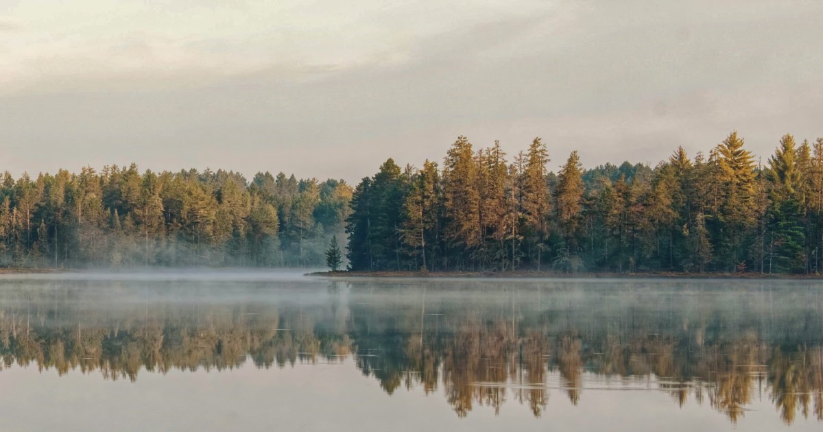 Cass County, Michigan Marijuana Real Estate For Sale